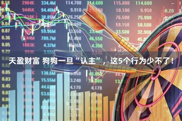 天盈财富 狗狗一旦“认主”，这5个行为少不了！