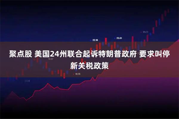 聚点股 美国24州联合起诉特朗普政府 要求叫停新关税政策