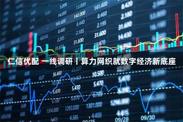 仁信优配 一线调研丨算力网织就数字经济新底座